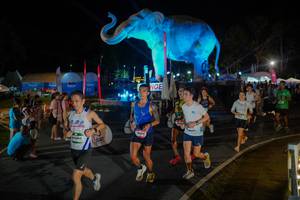 BIB: 
                            <button type="button" onclick="openModal(26552278)" class="btn btn-primary btn-sm float-right btn-popup" data-toggle="modal" data-target=".modal-high-quality">
                        <i class="fas fa-shopping-cart"></i> Add to Cart
                    </button>
                                            <button type="button" onclick="isThisMe(26552278, true)" class="btn btn-success btn-sm float-right btn-popup btn-isme hidden" data-toggle="tooltip" data-placement="bottom" title="นี่คือรูปของคุณใช่ไหม คลิกที่นี่เพื่อเอาเข้าอัลบั้ม">
                        <i class="fas fa-plus"></i> Add to album
                    </button>
                    <button type="button" onclick="isThisMe(26552278, false)" class="btn btn-warning btn-sm float-right btn-popup btn-isnotme hidden">
                        <i class="fas fa-ban"></i> Remove from album
                    </button>